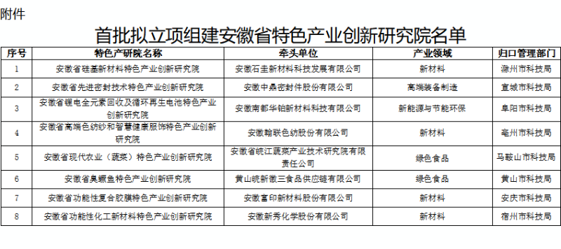 3 关于首批安徽省特色产业创新钻研院拟立项名单的公示